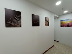 Woodsvale (D25), Condominium #577675751